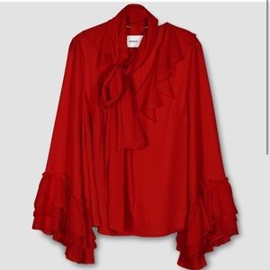 Rodarte x Universal Standard red blouse Medium